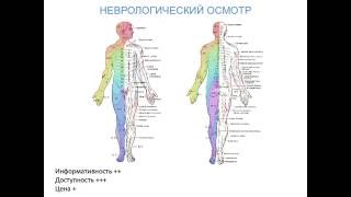 Базовые принципы диагностики в вертебрологии.