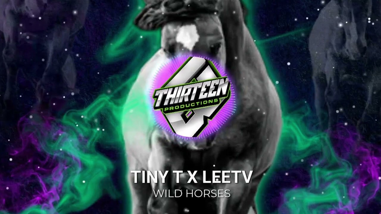 TTPFREE05- Tiny T x Leetv- Wild Horses Remix