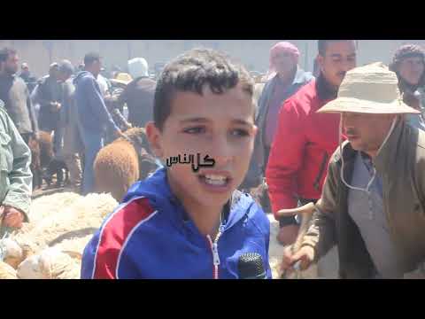 اصغر فلاح في رحبة الفحص رنا تاعبين كي يقلك علوش بزوز مليون شويه فيه عيد الاضحى تونس 2025