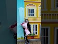 Фото или видео