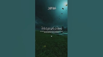 (انك ميت وانهم ميتون) سورة الزمر) #ياسر_الدوسري #قران_كريم #قران #اكسبلور #quran #duet