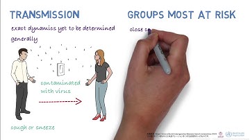 WHO 新型コロナウイルスの概要