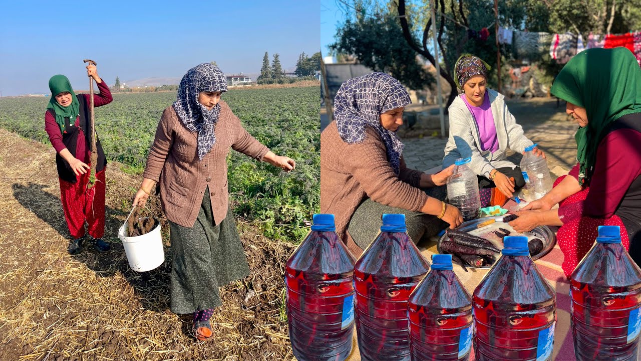 HAVUÇ HASADI 💫 BİDON BİDON ŞALGAM YAPIMI LEZZET KÖYÜ GÜNLÜK VLOG