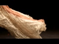 Lexus Design Disrupted - Fashion