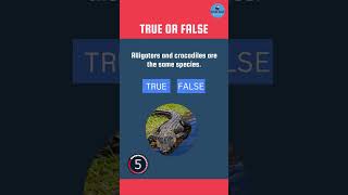 True or False Quiz: Test Your Knowledge! #shorts #gkquiz #animaltrivia