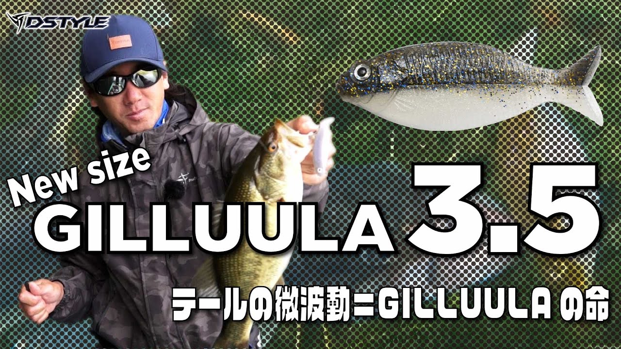 株式会社DSTYLE 公式サイト