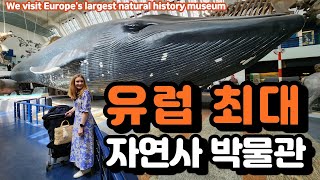 We visit Europe&#39;s largest natural history museum | London | AMWF | Family tour