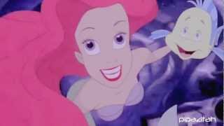 DSST || Shake it Out (Ariel and Flounder)