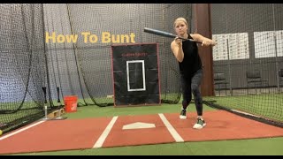 How To Bunt