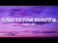 Scars To Your Beautiful - Alessia Cara (Lyrics)