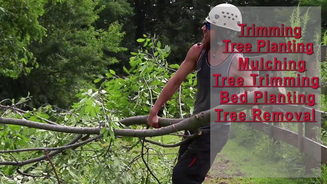 Spring Service Video - Jake's Property Services