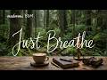 Forest Night BGM 🌿 1 Hour | Calm Wood Sounds for Sleep & Deep Rest