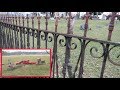 Stalked at a Creepy Abandoned Graveyard