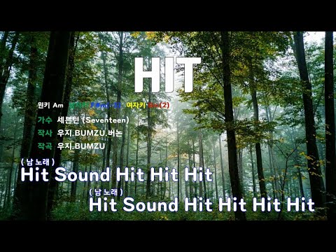 [은성 반주기] HIT - 세븐틴(Seventeen)