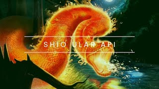 Quotes Shio Ular Api 2