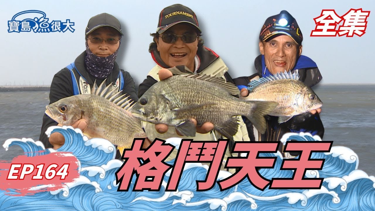 線西釣法關鍵曝光！咪咪螺是秘密武器？| 寶島漁很大 | 全集