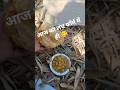 #Dragon fruit farm #khet mai khana #chole puri #farming #farmland