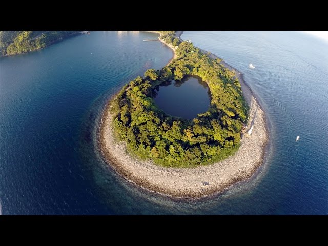 view 海に囲まれた神秘の淡水 静岡県沼津市の神池 - YouTube