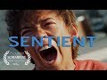 Sentient | Sci-Fi Short Horror Film | Screamfest