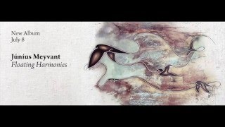 Vignette de la vidéo "Júníus Meyvant - Neon Experience (Official Audio)"