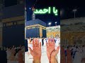 الله يصلح حالك