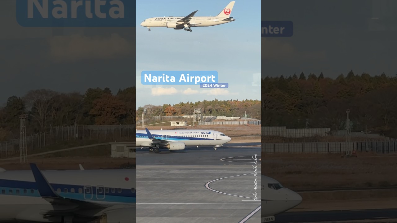 ANA B737 and JAL B787! 2024 Winter Travelling at Narita Airport!