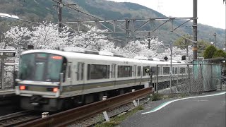 【桜】JR西日本 221系 大和路快速大阪環状線行 河内堅上駅 通過(後追い)