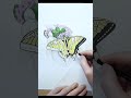 Yellow Swallowtail Colored Pencil Drawing | art room #shorts #butterfly