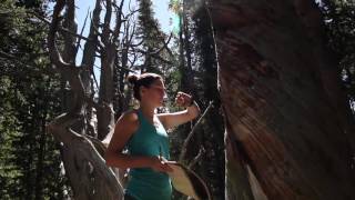 CU Boulder: Earth Lab Field Research