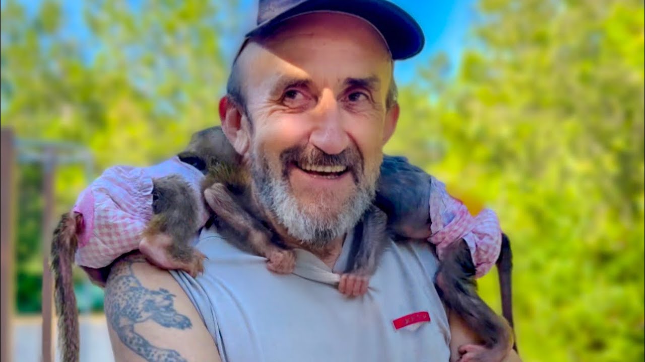 УРА! Папа Влад ПРИЕХАЛ! Степашка и Маняшка просто легли на плечи папе ...