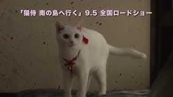 映画とドラマ 猫侍 ちゃんねる Youtube