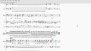 Miserere Mei Deus - Bass Practice (Adapted for 5 voices)
