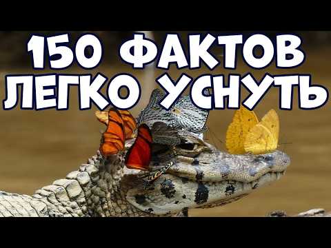 150 УДИВИТЕЛЬНЫХ ФАКТОВ, ПОД КОТОРЫЕ ЛЕГКО УСНУТЬ
