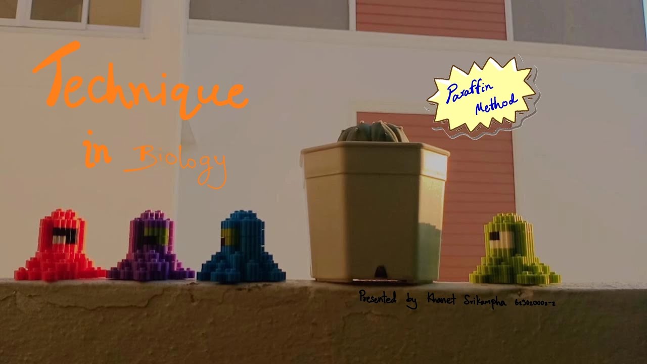 Technique in Biology paraffin methods YouTube