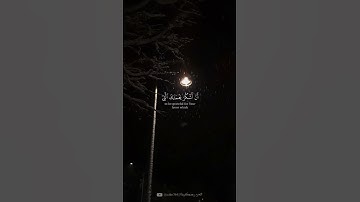 فَتَبَسَّمَ ضَاحِكًا مِّن قَوْلِهَا - تلاوة من سورة النمل - أحمد العجمي  #explore #اكسبلور