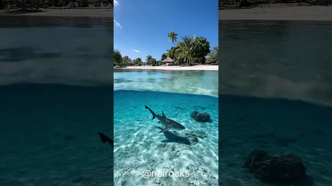 Делай такие же видео для родных и близких. Всего за несколько минут