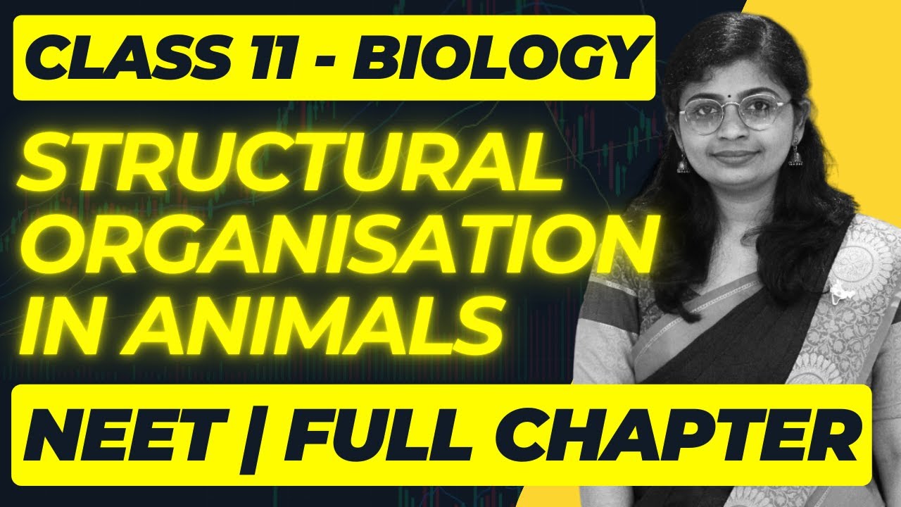 Structural Organisation in Animals | Class XI Biology NEET Prep by Dr ...
