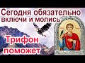 Только сейчас у этой молитвы особая сила (Тропарь святому Трифону с текстом)