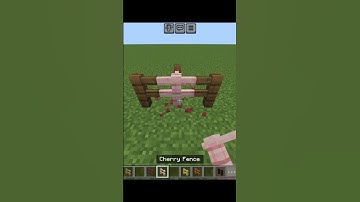 Minecraft fence logic #minecraft #logic #viralshorts #shorts