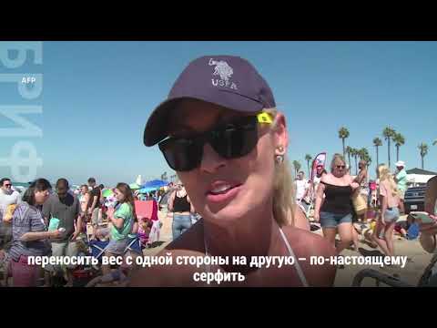 Научился серфингу сам – научи собаку