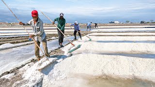 : Indias Cheapest Technique to Produce Massive Tons of Salt Every Year