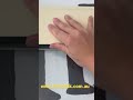 Patiolink pet doors