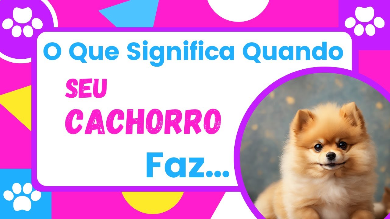 O QUE SIGNIFICA QUANDO SEU CACHORRO FAZ... Os 15 COMPORTAMENTOS dos ...