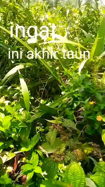 taun baru #tahunbaru #status #storywa #motivation #2022 #2023