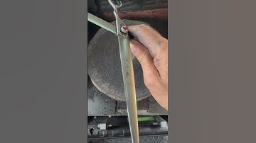 Please take extra care of your precariously oversized shears and thinners, especially curved blades!