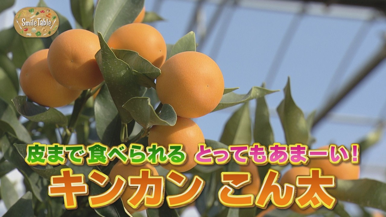 SmileTable～皮まで食べられる！とってもあまーいキンカン「こん太」