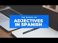 Adjectives in Spanish with examples/How to Use Adjectives in Spanish: Rules + Examples