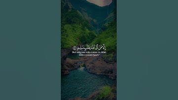 ولا تخزني يوم يبعثون من سورة الشعراء بصوت الشيخ أحمد النفيس