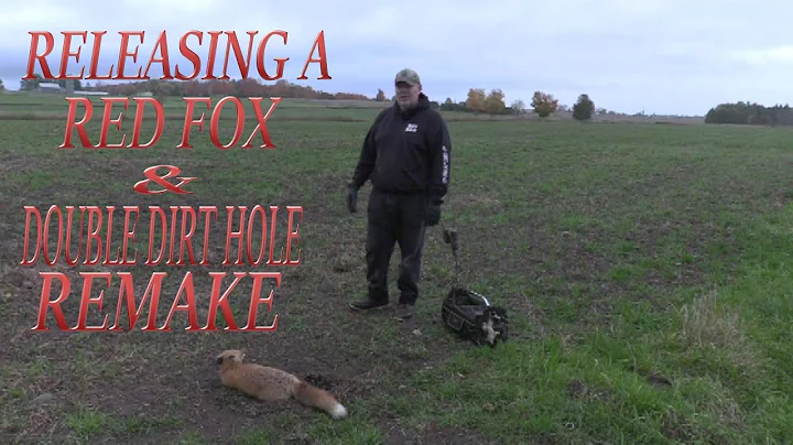 How to make a double dirt hole set and red fox release