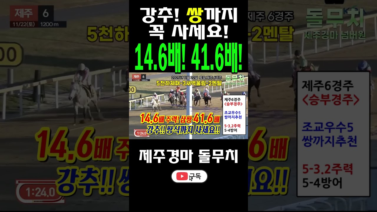 강추!! 쌍까지 사세요!! 5번 놓고 승부🎯